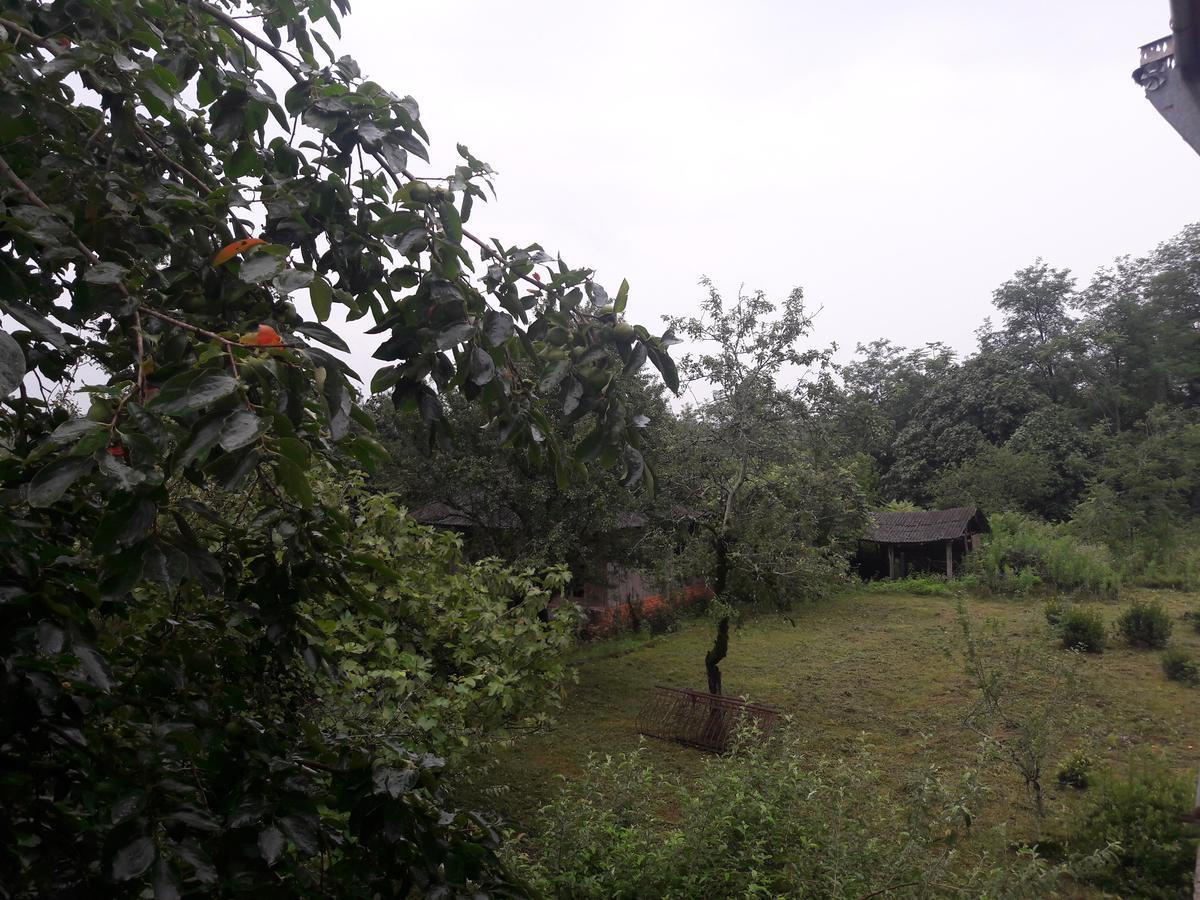 Surmava Palace Martvili Luaran gambar