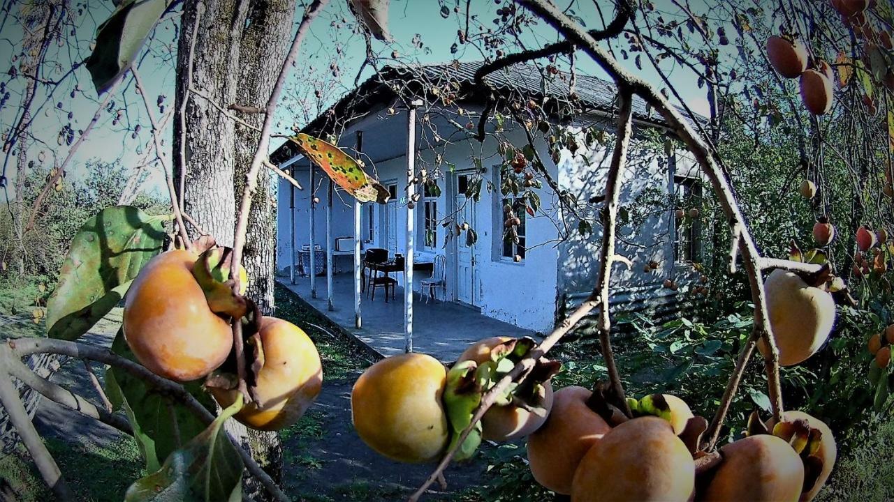 Surmava Palace Martvili Luaran gambar