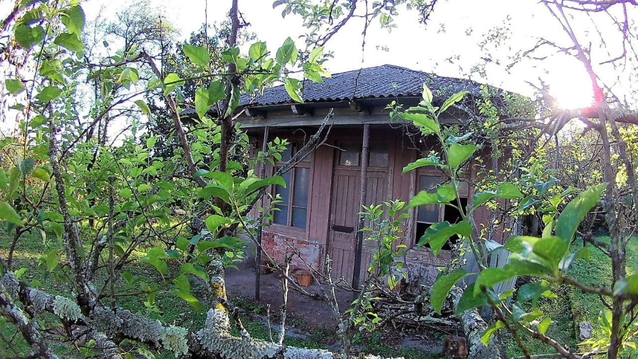 Surmava Palace Martvili Luaran gambar